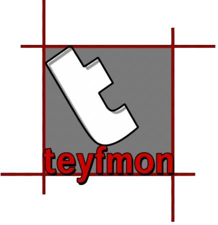 logo teyfmon