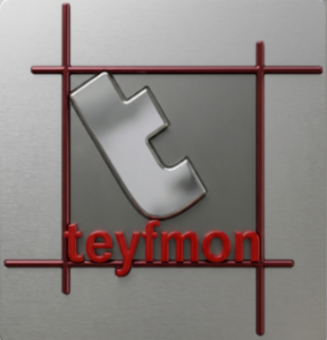 logoTeyfmon(1)